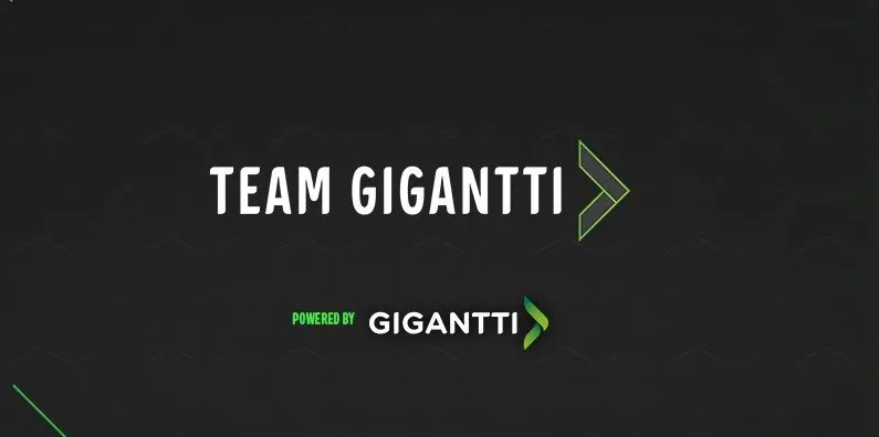 Kansikuva artikkelille: Overwatch-joukkue Team Gigantti lakkautetaan – Takana mestaruuksia niin Euroopassa kuin Suomessakin