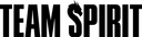 Kotijoukkueen logo: Spirit