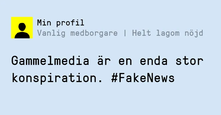 Kansikuva artikkelille: Tutkimus: Tietokonepeli kohensi lukiolaisten taitoa tunnistaa valeuutiset